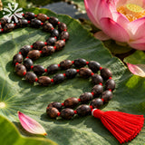 Kamal Gatta Jaap Mala – Natural Lotus Seeds 108 Beads Japa Mala